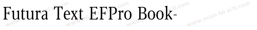 Futura Text EFPro Book字体转换